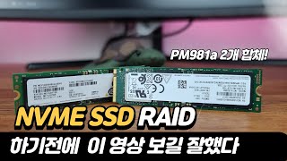 NVME SSD 레이드RAID0하기전에 보면 좋을영상삼성전자 PM981a [upl. by Airt]