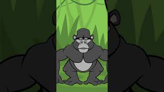 Did You Know Remarkable Rainforest Layers  Fun Facts for Kids by Wiwi shorts short [upl. by Lebatsirhc]