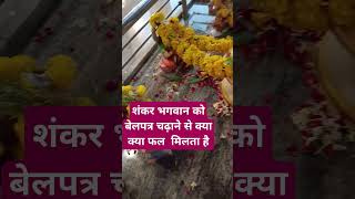 शंकर भगवान को बेलपत्र चढ़ाने से किस किस चीज कीप्राप्ति होती है upay shortsvideo [upl. by Cyprian595]