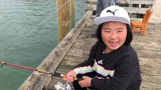 7岁女孩钓针鱼 Sevenyearold girl fishing at Cornwallis Wharf 【NZ Lucy Vlog 3】 [upl. by Aniat]