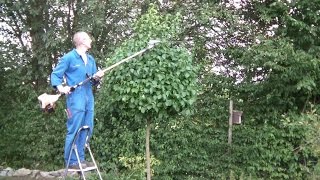 Kugelbaum schneiden mit dem Stihl Kombisystem Heckenschneider mit Schaftverlängerung Hedge Trimmer [upl. by Zelle]