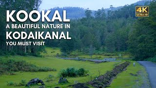 Kookal  Kodaikanal  Drive to a Beautiful Forest amp Nature  Vlog63 [upl. by Nicky]