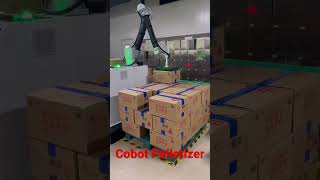 Cobot PalletizerRobotic Palletizer Easy to Operate Up to 12PPM Max Payload 30KG [upl. by Nicolau]