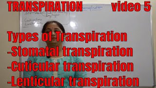 TYPES OF TRANSPIRATION BIOLOGY  ICSE CBSE Exam prepration [upl. by Aline]