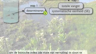 systematische eenheid en biotische index [upl. by Ainslee]