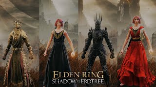 I Tried The Best Build For Elden Ring DLC [upl. by Ahsiekar]