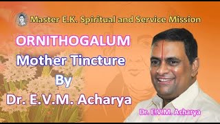 Ornithogalum Mother Tincture Q by Dr EVM Acharya [upl. by Misa]