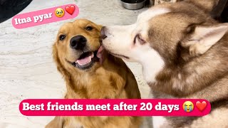 Finally Ghost meets Max after 20 days 😭  Emotional ho gya 🥹❤️ [upl. by Violet]