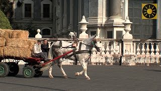 SIZILIEN  Teil 2 quotGlanzlichter von Syrakus Catania und den Ätna entdeckenquot SICILY  SICILIA [upl. by Ogir]