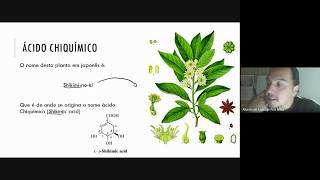 Flavonoides Como são formados pelo Ácido Chiquímico [upl. by Kries]