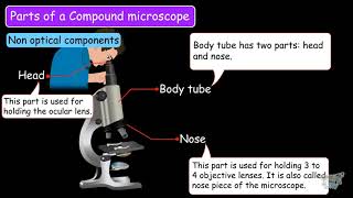 Compound Microscope Parts of Compound Microscope  UNIT MICROSCOPEPART2  Grade 78 TutWay [upl. by Nally513]