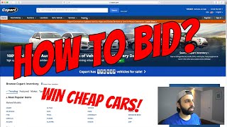 How to Bid on Cars at Copart  What Broker I Use [upl. by Ednutabab]