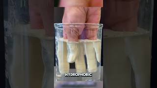 Hydrophobic science facts theory [upl. by Savill]