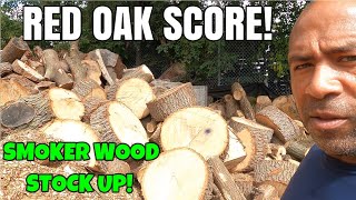 RED OAK SCORE AT THE TREE SERVICE FIREWOOD [upl. by Erle271]