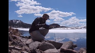 Early ice off fly fishing at Panguitch lakea little too early [upl. by Asilat951]