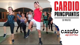 Rutina de Cardio Super Divertida Sin Saltos 30 minutos principiantes [upl. by Goar]