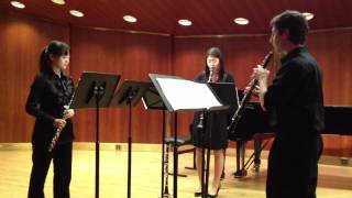 Trio for Flute Oboe and ClarinetGraham Cohen [upl. by Eelyam311]