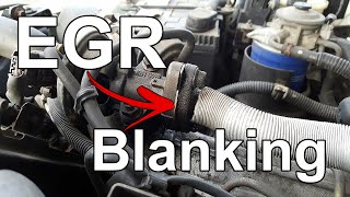 EGR Blanking How To  Blank Plate Installation  Tech Tip 07 [upl. by Irehs]