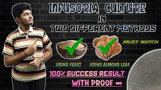 How to Culture Infusoria without starter  தமிழ்  Wonder Aqua Garden [upl. by Aillicsirp]