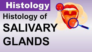 Inderbir Singh Histology Chp14  Histology of SALIVARY GLANDS  Dr Asif Lectures [upl. by Adelheid554]