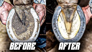 Full Horse Hoof Restoration  4K FARRIER ASMR Satisfying [upl. by Sirotek]