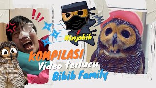 Kompilasi Video Bibib Terlucu Episode 2 [upl. by Ayalat]