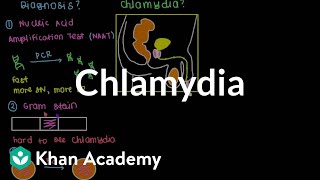 Diagnosis treatment and prevention of chlamydia  Infectious diseases  NCLEXRN  Khan Academy [upl. by Ahsiem394]