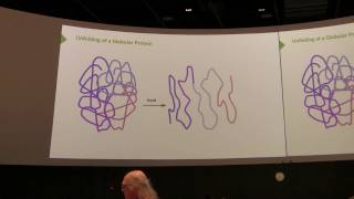 Protein Structure III  Kevin Aherns BB 450 Lecture 5 2016 [upl. by Kizzie]