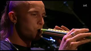 Meshuggah  Live At SVT TV Sweden 1997 HD Version [upl. by Utas55]