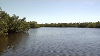 Caloosahatchee River [upl. by Iniffit]