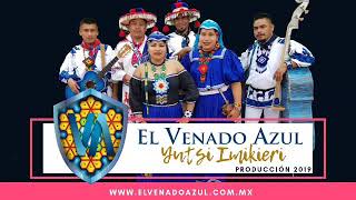 El Venado Azul  Maxa Awakame Yutsi Imikieri 2019 Bonus Track [upl. by Dammahum556]