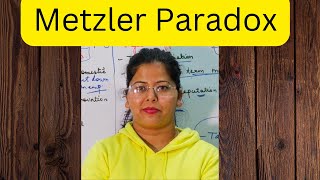 Stolper Samuelson theorem amp Metzler Paradox Deepti Mahajan [upl. by Ahselaf510]