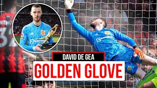 INCREDIBLE Golden GloveWinning Saves 🧤  David De Gea Player Cam 202223 🎥 [upl. by Ahseinat]