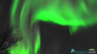 Northern Lights in Abisko Sweden [upl. by Oynotna759]