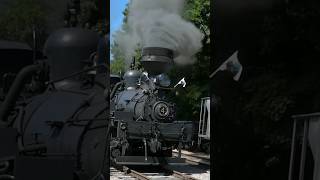 🚂 Shay 4  Cass Scenic Railroad quotParade Of Steamquot 🚂🚂🚂🚂 [upl. by Gavan785]