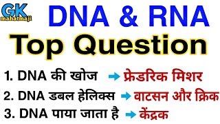 DNA amp RNA Top Question  Biology gk Question  RRB JE SSC [upl. by Blaze]