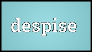 Despise Meaning [upl. by Bovill]