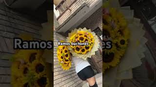 Ramos buchones para ti ✨🌻Vakero short musica floreriacavani [upl. by Meggs598]