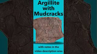 Argillite with Mud Cracks Identified [upl. by Debarath]