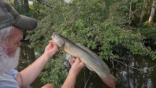 Bass and Grinnell Fishing in Dennis Lake Mobile Tensaw Delta [upl. by Denis]