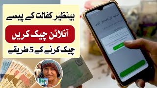 Benazir Income Support Ke Pesy Check Karne ka Tarika  How To Check Benazir Program Payment Online [upl. by Merrili183]