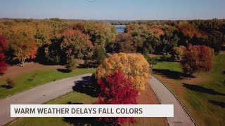 Fall colors delayed by warm weather in West Michigan [upl. by Heyes]