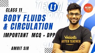 Body Fluids and Circulation  L1  Important MCQ  DPP  Term 2  Class 11 Biology  Vedantu NCERT [upl. by Ifar]