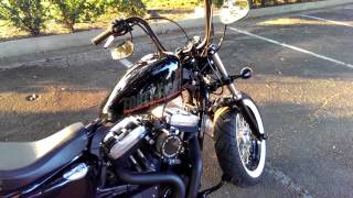 Harley Davidson Sportster Forty Eight DampD Bobcat Exhaust [upl. by Analart579]