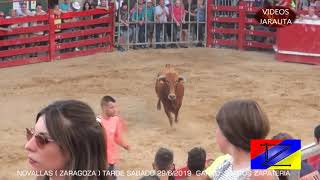 NOVALLAS ZARAGOZA TARDE VACAS EN LA PLAZA SABADO 29 JUNIO 2019 SANTOS ZAPATERIA [upl. by Letnohc355]