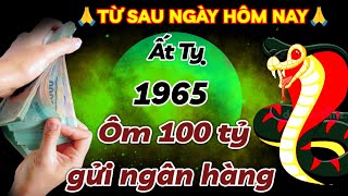 CÁ CHÉP HÓA RỒNG ẤT TỴ 1965 HỢP VÍA THẦN TÀI  TỪ 15 RẰM CÒNG LƯNG GÁNH LỘC CÓ 100 TỶ GỬI NGÂN HÀNG [upl. by Naor]