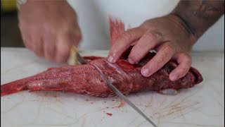 How to prep and cook a whole Rockfish [upl. by Dumanian]