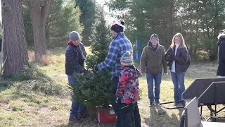 Goods Christmas tree farm back open for the holiday season [upl. by Lartnom]