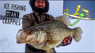 Ice Fishing GIANT Crappies in Shallow Water  TIPS amp TECHNIQUES [upl. by Ytitsahc]