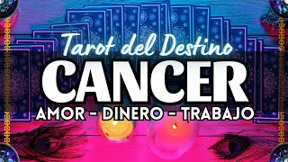 CANCER ♋️ EL AMOR DE TU VIDA LLEGARÁ DE DIVERSAS MANERAS MIRA ESTO❗❗❗ cancer  Tarot del Destino [upl. by Gnouhk]